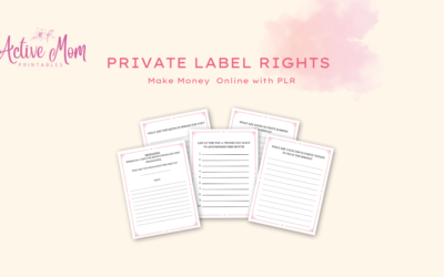 What are Private Label Rights (PLR)?